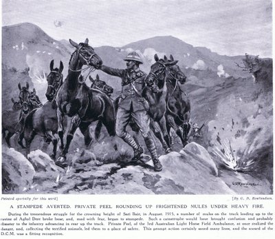 Stampede averted Private Peel rounding up frightened mules at Sari Bair August 1915 by George Derville Rowlandson